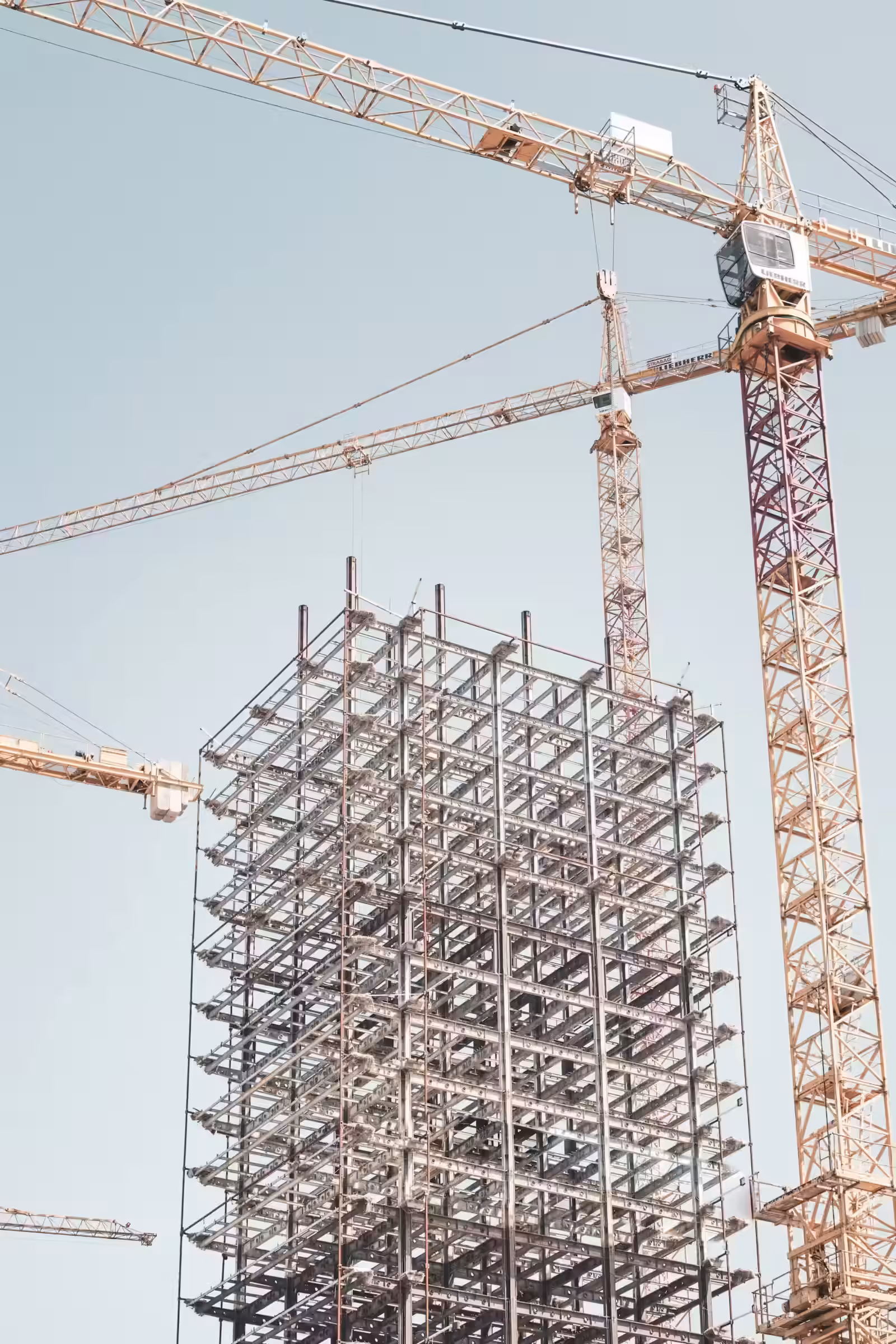 Proceso de construccion y publicacion